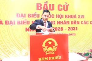 Đà Nẵng: Hơn 2,1 triệu cử tri tham gia Ngày hội non sông