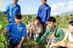 Bộ Nội vụ khẳng định đội viên Đề án 500 trí thức trẻ thuộc diện tiếp nhận vào công chức