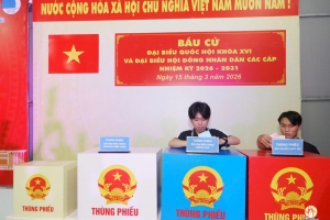 Sức trẻ và niềm tin nơi giảng đường trong ngày hội bầu cử