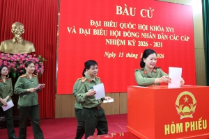 Ninh Bình: Hơn 52% cử tri tham gia bỏ phiếu tính đến 9 giờ sáng ngày bầu cử