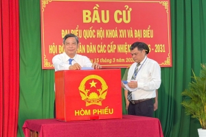 Cần Thơ: Cử tri bầu cử đại biểu Quốc hội và Hội đồng nhân dân các cấp đạt tỷ lệ 99,85%