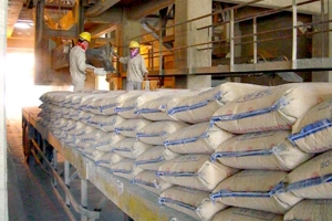 Giá xi măng tăng lần thứ ba trong quý đầu tiên năm 2026
