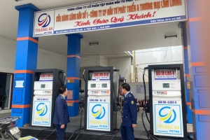 Ninh Bình: Xử phạt cơ sở kinh doanh xăng dầu bán cao hơn mức giá quy định