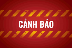 Công an tỉnh Thái Nguyên cảnh báo thủ đoạn lừa đảo trực tuyến lợi dụng kết quả kiểm phiếu bầu cử