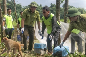 Phát hiện, xử lý 1.784 vụ vi phạm về bảo vệ động vật hoang dã và nguồn lợi thủy sản
