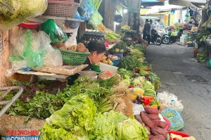 Hà Nội: Giá thực phẩm nhích lên, siêu thị đẩy mạnh ưu đãi “giữ giá”
