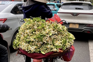 Dự báo thời tiết ngày 18/3: Bắc Bộ ngày nắng đêm lạnh, Nam Bộ nắng nóng cục bộ