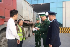 Ngành Hải quan phát hiện, bắt giữ và xử lý 3.635 vụ vi phạm