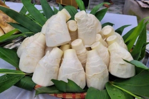 Từ đặc sản làng quê đến thương hiệu quốc gia: OCOP đang ở giai đoạn nào?