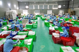 Tây Ninh hỗ trợ pháp lý liên ngành cho doanh nghiệp nhỏ và vừa