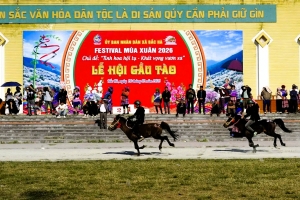 “Cao nguyên trắng” Bắc Hà vươn mình thành điểm đến du lịch đặc sắc Tây Bắc