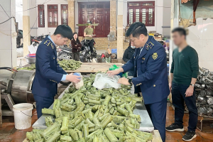 Siết chặt quản lý an toàn thực phẩm tại các xã vùng ngoại thành Hà Nội