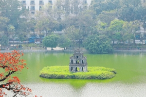 Hà Nội mùa hoa gạo: Sắc đỏ lặng thầm giữa nhịp sống vội