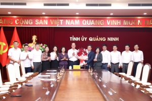 Công bố quyết định của Ban Thường vụ Tỉnh ủy Quảng Ninh về công tác cán bộ