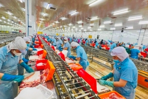Tín dụng và khu công nghiệp tạo lực đẩy kép cho tăng trưởng kinh tế An Giang