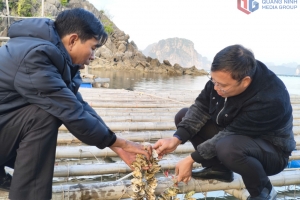 Quảng Ninh đồng bộ trong quy hoạch, sắp xếp nuôi trồng thủy sản biển