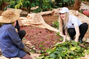 Việt Nam từ “vựa nguyên liệu” đến quốc gia dẫn dắt ngành cà phê toàn cầu