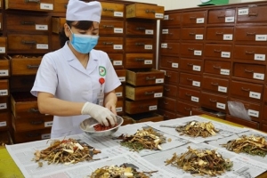 Lào Cai: Tăng cường quản lý hoạt động kinh doanh, quảng cáo, sử dụng dược liệu và thuốc cổ truyền