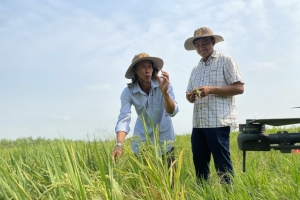 Bộ Nông nghiệp và Môi trường xây dựng kịch bản sản xuất trước tình hình xung đột Trung Đông