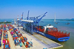 Doanh nghiệp hoa tiêu đồng loạt giảm giá dịch vụ, “chia lửa” với vận tải biển giữa cơn sốt nhiên liệu