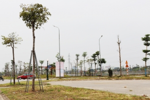 Bắc Ninh: Đẩy nhanh tiến độ triển khai thực hiện các dự án đấu giá quyền sử dụng đất