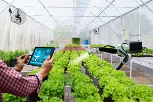Nhân lực chất lượng cao và khoa học - công nghệ: Nền tảng đổi mới tăng trưởng nông nghiệp