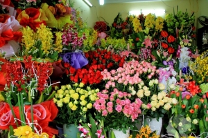 Ngành hoa tươi tăng trưởng nóng, “khoảng tối” rác thải nhựa dần lộ diện