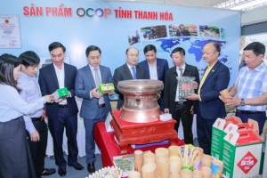 Thanh Hóa tăng tốc cải cách, đồng hành cùng nhà đầu tư từ ý tưởng đến vận hành