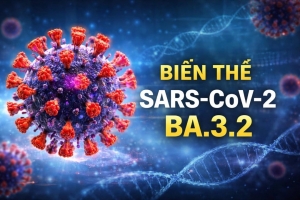 Bộ Y tế khẳng định biến thể SARS-CoV-2 "ve sầu" có nguy cơ thấp đối với sức khỏe cộng đồng