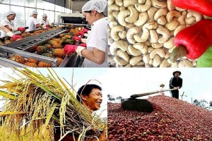 Xuất khẩu nông lâm thủy sản quý I đạt gần 16,7 tỷ USD, chăn nuôi bứt tốc mạnh