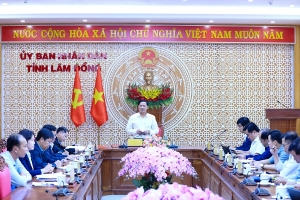 Lâm Đồng chủ động “giữ nhịp” thị trường nông sản và vật liệu xây dựng