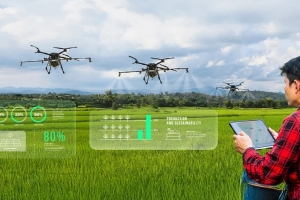 Tái cấu trúc nông nghiệp: Từ “bệ đỡ” sang động lực tăng trưởng hiện đại