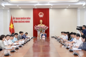 Chủ tịch UBND tỉnh Quảng Ninh làm việc với đối tác Hoa Kỳ về đầu tư cảng Con Ong - Hòn Nét