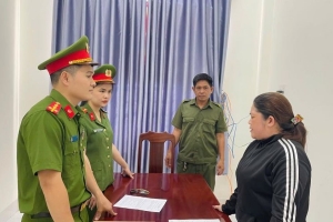 Hà Tĩnh: Bắt nữ giám đốc mua bán hóa đơn, trốn thuế gần 740 triệu đồng