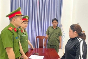 Bắt tạm giam nữ giám đốc doanh nghiệp xây dựng vì mua hóa đơn khống trốn thuế
