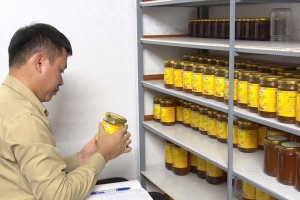Ninh Bình: Đưa ứng dụng khoa học công nghệ vào sản xuất - nâng tầm giá trị nông sản
