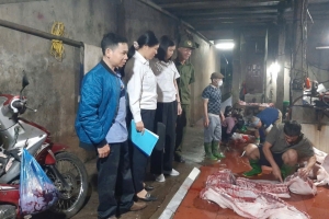 Văn Phú (Lào Cai): Tăng cường kiểm tra hoạt động giết mổ, kiểm soát chặt nguồn gốc động vật