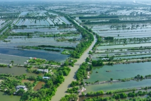 Thích ứng khí hậu và hướng đi bảo vệ sinh kế bền vững cho cộng đồng ven biển