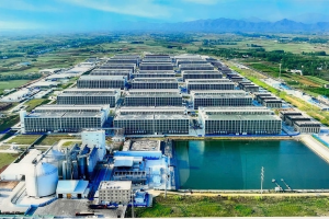 BAF Việt Nam lên kế hoạch lãi tăng hơn 500%, sản lượng heo vượt 1,2 triệu con