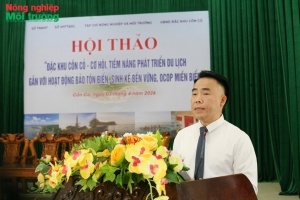 Cồn Cỏ – Đánh thức “viên ngọc xanh” theo hướng kinh tế biển bền vững