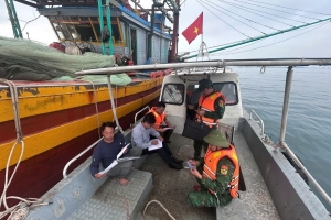 Quảng Trị: Tăng cường phối hợp tuần tra, xử lý vi phạm, chống khai thác IUU