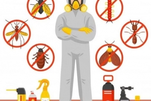 Loại bỏ 40 hóa chất khỏi sản phẩm diệt côn trùng, diệt khuẩn