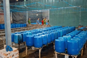 Công an tỉnh Lào Cai khởi tố đối tượng sản xuất giá đỗ bằng hóa chất 6-BAP