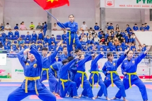 Hà Nội lần đầu tổ chức Festival Võ thuật quốc tế, tôn vinh tinh hoa võ Việt