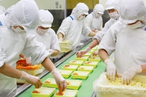 Xu hướng bền vững và an toàn: Chìa khóa định hình tương lai ngành bánh