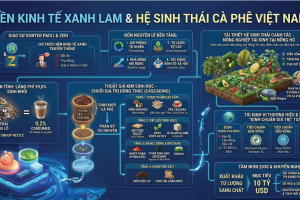 Hướng tới hệ sinh thái cà phê xanh lam: Tái định vị giá trị ngành cà phê Việt