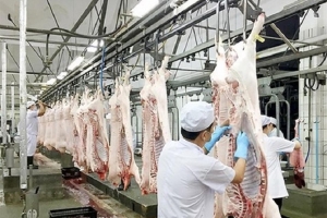 Lạng Sơn siết chặt kiểm soát giết mổ, bảo đảm an toàn thực phẩm