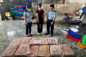 Thái Nguyên: Bắt giữ và tiêu hủy 400kg thịt gà đông lạnh không rõ nguồn gốc
