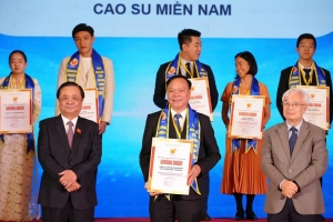 Casumina: Nửa thế kỷ chuyển mình – Đồng hành phát triển, kiến tạo tương lai bền vững