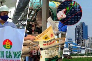 Ngành phân bón trước áp lực địa chính trị: Chủ động thích ứng để giữ ổn định thị trường